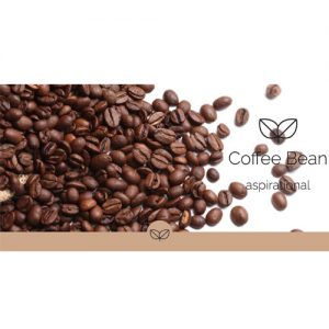 HYscent Invent - Coffee Bean - HI60091