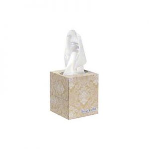 Society Hill Facial Tissue 3090 Cube Box
