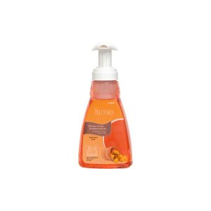 Hillyard Citrus Fresh Antimicrobial Foaming Hand Pump Soap HIL0040882