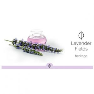 HYscent Invent - Lavender Fields - HI60041