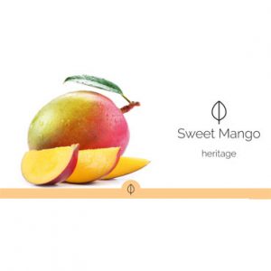 HYscent Round - Sweet Mango HH10111